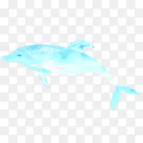 蓝色海豚卡通背景