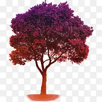 紫色树木浪漫恋人
