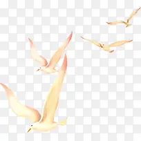 高清创意手绘海鸥