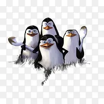 四只可爱的企鹅