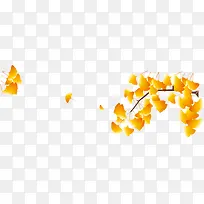 枫叶，秋天，黄色，金色