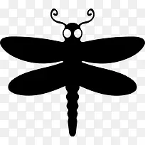 蜻蜓翅膀的动物上视图图标