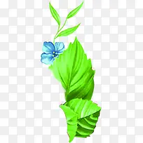 绿色手绘植物蓝色小花