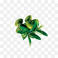 橄榄