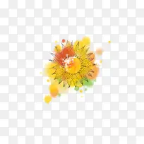太阳花