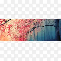 秋冬枫叶唯美背景banner　