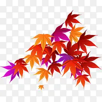 彩色秋天枫叶海报