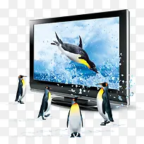 企鹅电脑显示屏