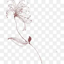棕色手绘线条花朵
