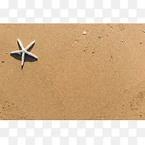 沙滩海星高清图