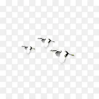 白色清新飞鸟装饰图案