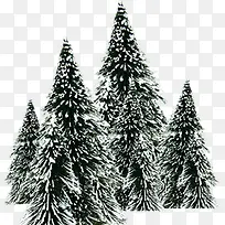 冬季树木装饰海报