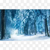 梦幻蓝色雪后树林