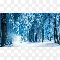 蓝色梦幻雪后树林