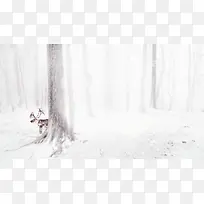 冬季洁白树林麋鹿海报背景