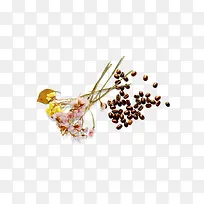 花朵咖啡豆
