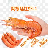 红虾生鲜海鲜