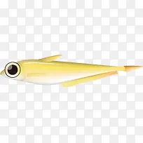黄色的大眼睛鱼