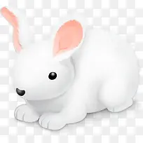 小白兔可爱小白兔图标