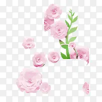 粉色艳丽的盛开花朵
