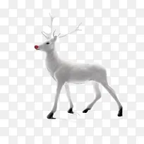 高清白色简约圣诞麋鹿