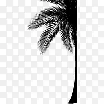 椰子树黑色剪影椰子树装饰