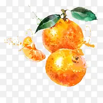 矢量手绘水彩橘子