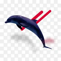 海豚卡通png免扣素材