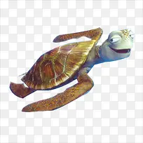 海龟