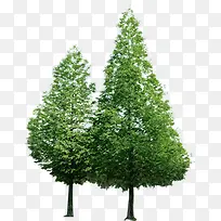 绿化树环保展板素材