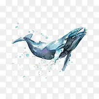 水彩海豚
