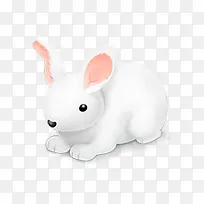 矢量小兔子白