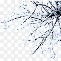 白色雪景冬日树木