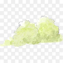 公园清新植物美景