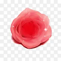 一朵花