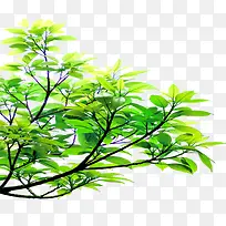 手绘清新世外桃源植物