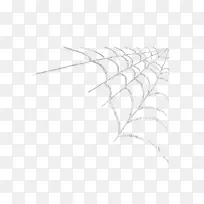 蜘蛛网蜘蛛丝