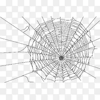 卡通手绘蜘蛛网