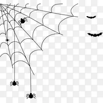 黑色蜘蛛网