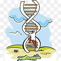 科学实验DNA梯子