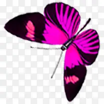 紫色唯美创意蝴蝶