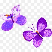 紫色唯美艺术蝴蝶