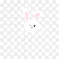 兔兔    兔子  表情