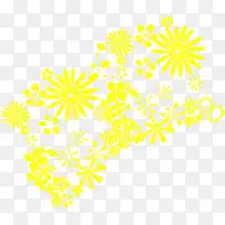 黄色的小花