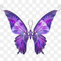 创意合成紫色的蝴蝶效果