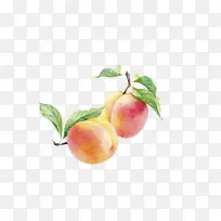 水彩桃子手绘水果