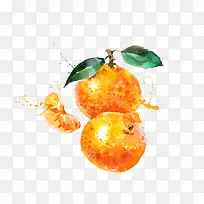 矢量黄色手绘水果橘子