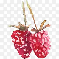 手绘水彩水果树莓