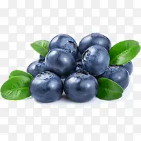 圆润多汁的蓝莓