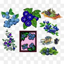 手绘蓝莓